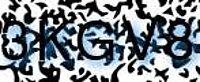 grafischer Sicherheitscode