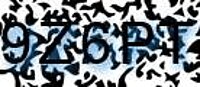 grafischer Sicherheitscode