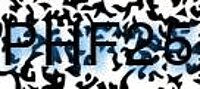 grafischer Sicherheitscode