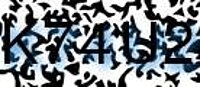 grafischer Sicherheitscode