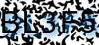 grafischer Sicherheitscode