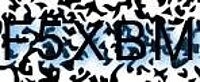 grafischer Sicherheitscode
