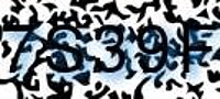 grafischer Sicherheitscode