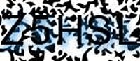 grafischer Sicherheitscode