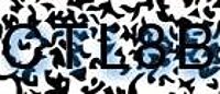 grafischer Sicherheitscode