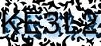 grafischer Sicherheitscode