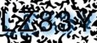 grafischer Sicherheitscode